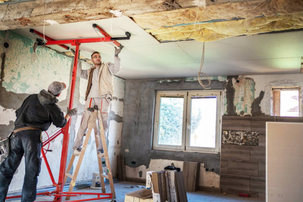 Best Commercial Insulation in Pho, IL