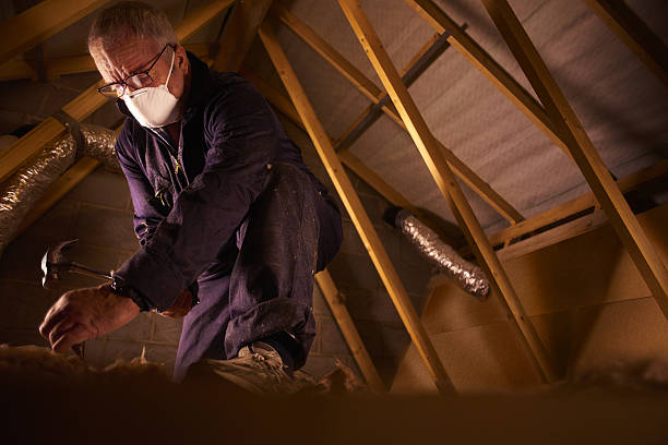 Best Insulation Materials and Products in Pho, IL